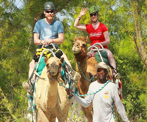 Camel Ride
