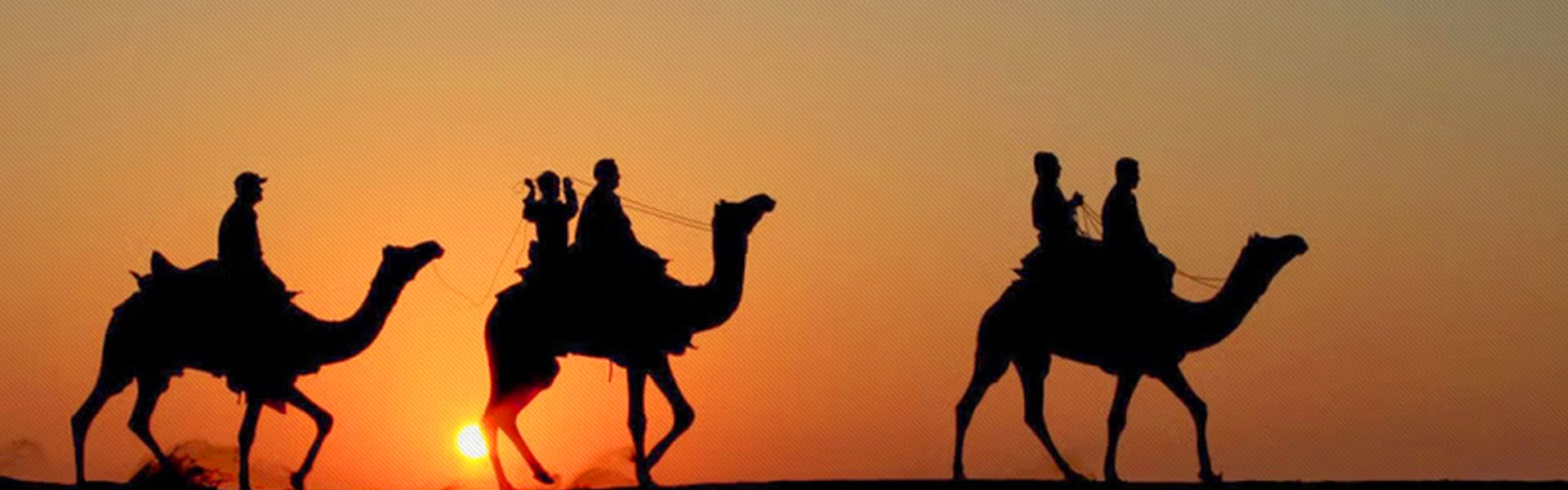 Camel Ride Banner 2
