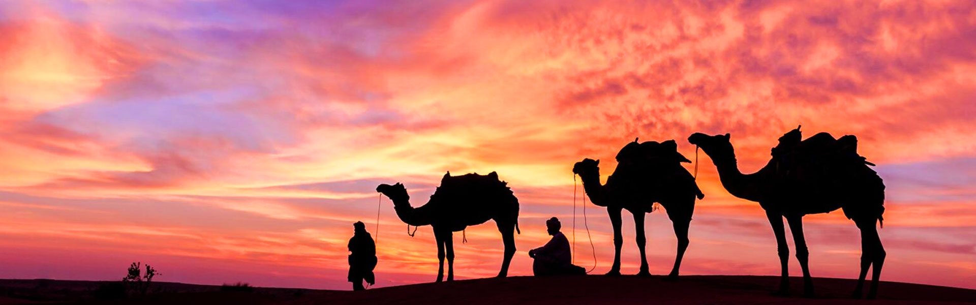 Camel Ride Banner 3