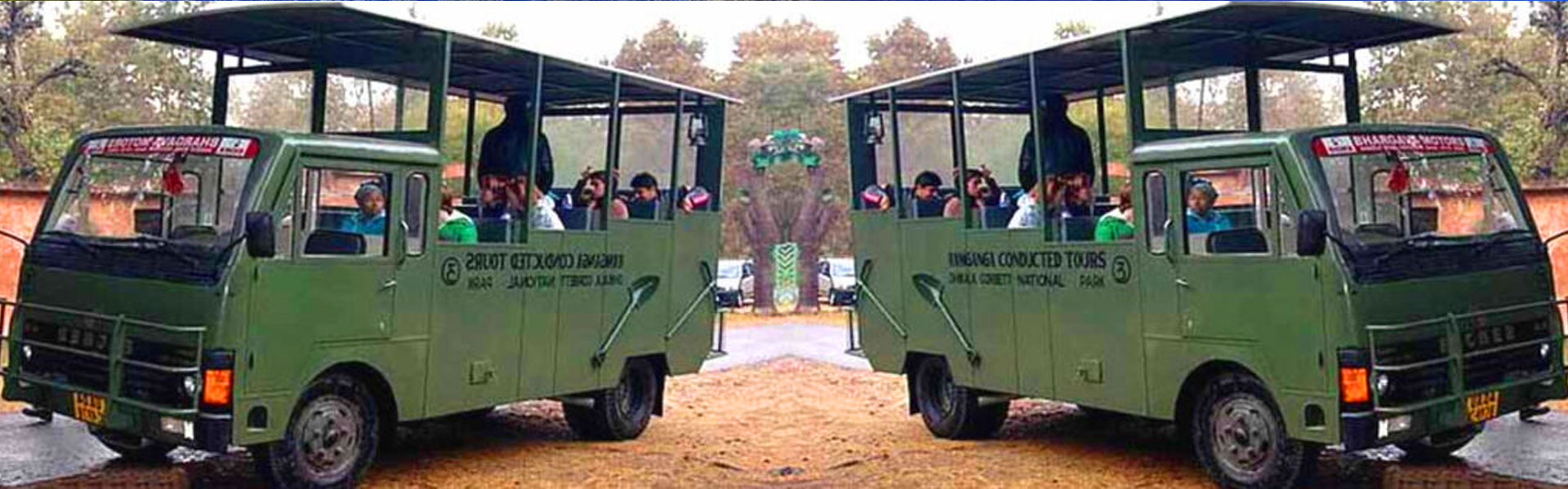 Canter Safari Banner 3