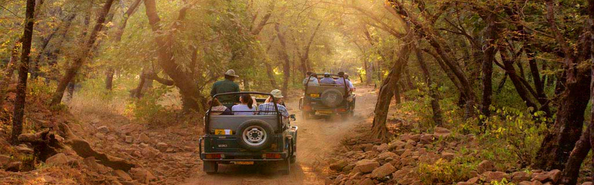 Jeep Safari Banner 2
