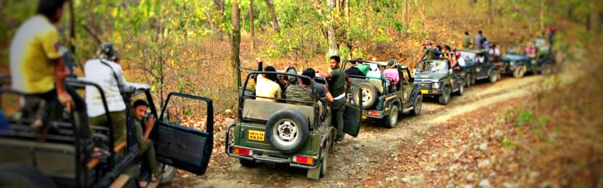  Jeep Safari Banner 3