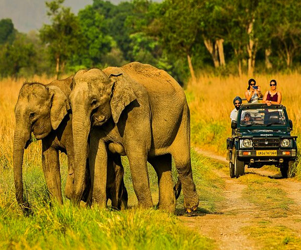 Jeep Safari